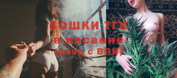 дмт Абаза