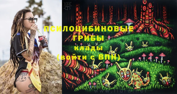 дмт Абаза