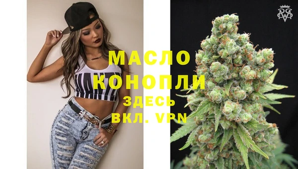 дмт Абаза