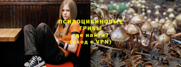 тгк Карталы